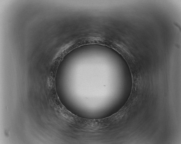 X0000102251207200808011303