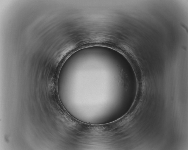 X0000102251210200808011303