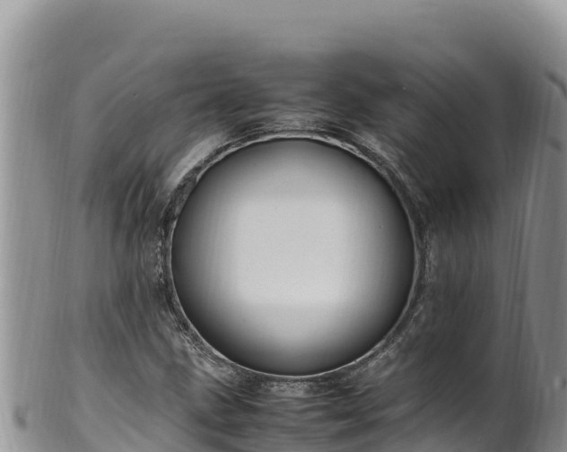 X0000102251211200808011303