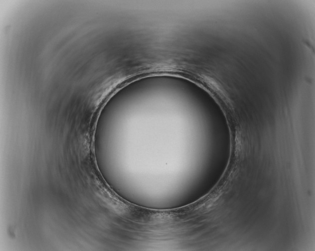 X0000102251212200808011303