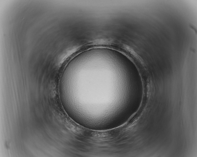 X0000102251213200808011303