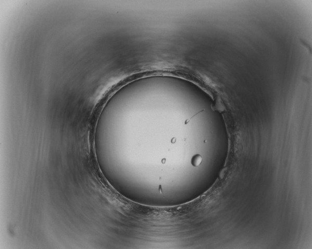 X0000102251214200808011303