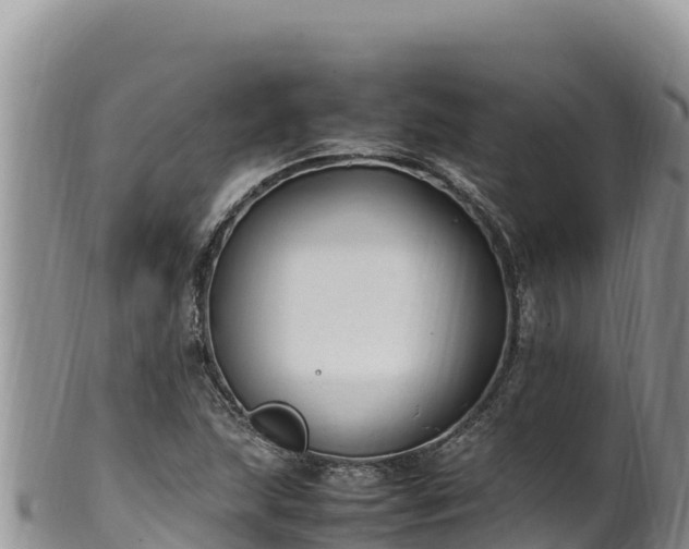 X0000102251215200808011303