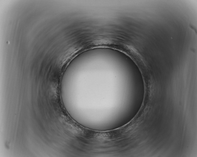 X0000102251217200808011303