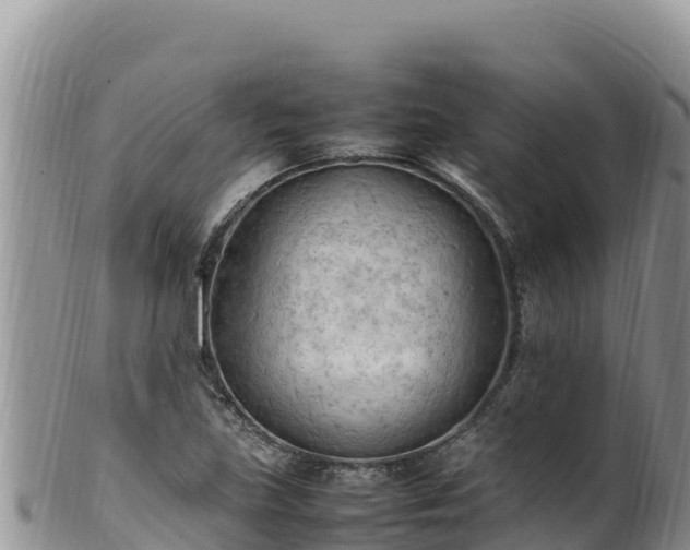 X0000102251219200808011303