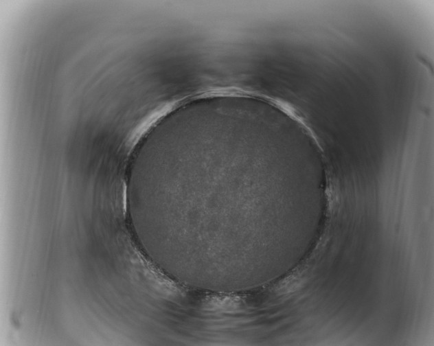 X0000102251221200808011303