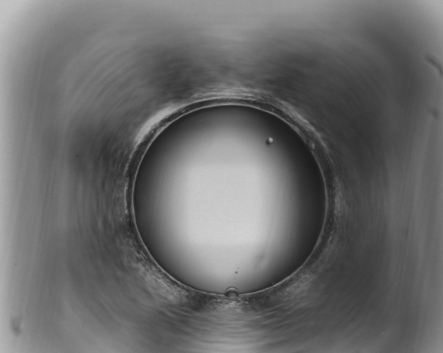 X0000102251222200808011303