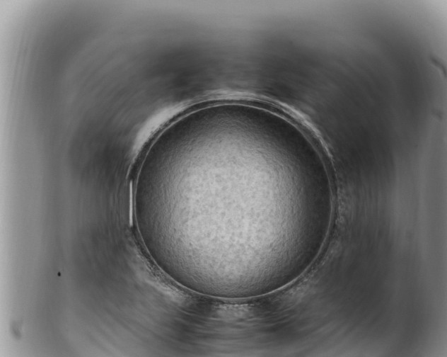 X0000102251223200808011303