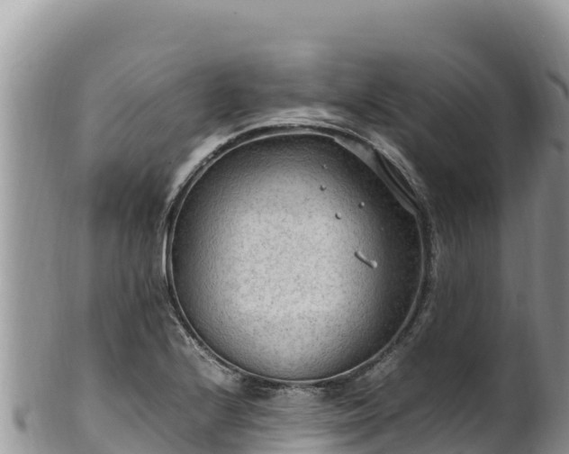 X0000102251224200808011303