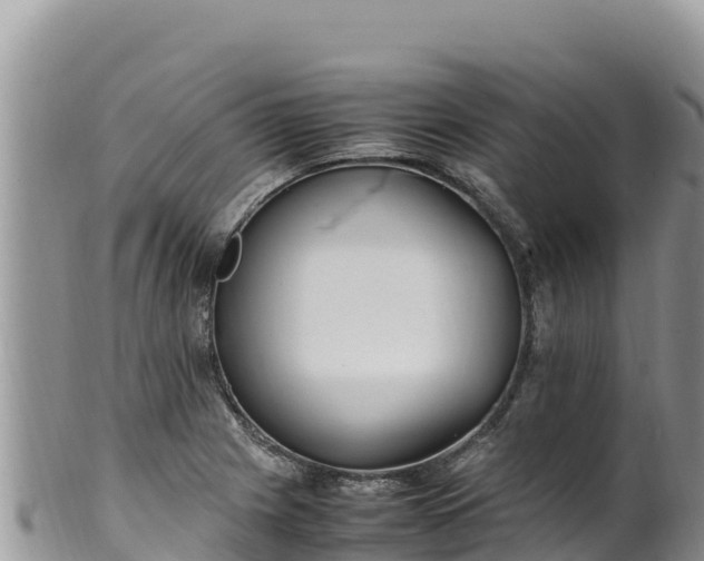 X0000102251225200808011303