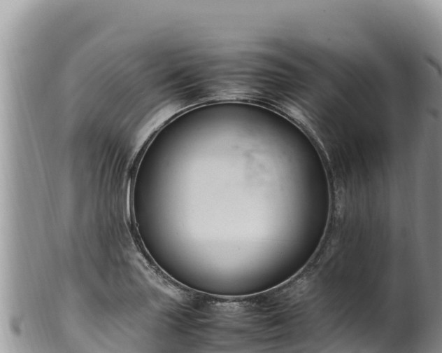 X0000102251227200808011303