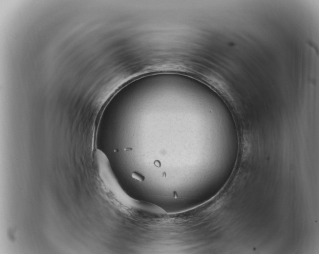 X0000102251228200808011303