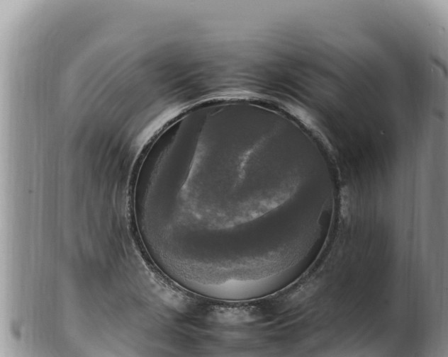 X0000102251229200808011303