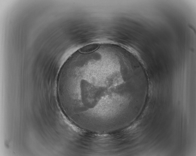 X0000102251231200808011303