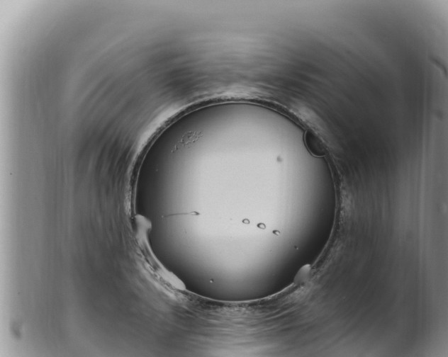 X0000102251232200808011303