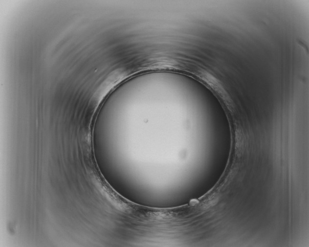 X0000102251234200808011303