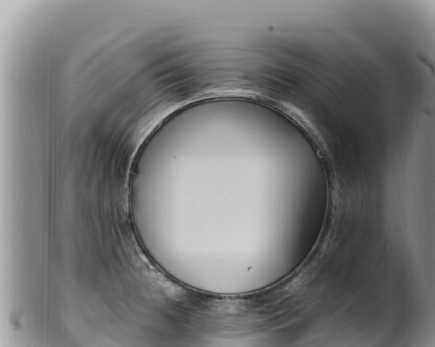 X0000102251236200808011303