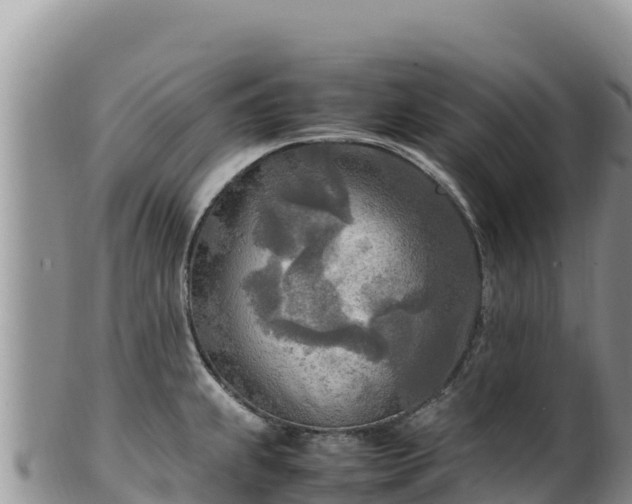 X0000102251239200808011303