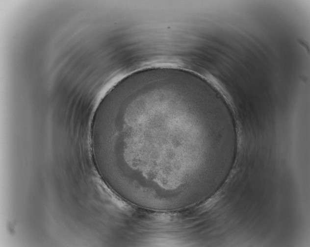 X0000102251240200808011303