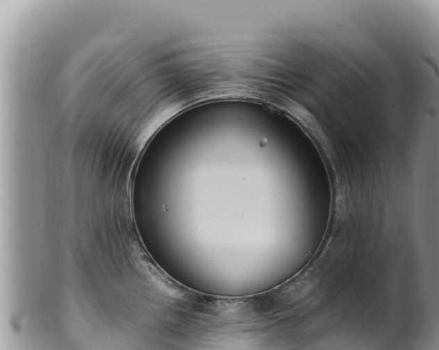 X0000102251242200808011303