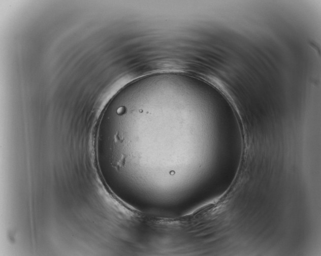 X0000102251243200808011303