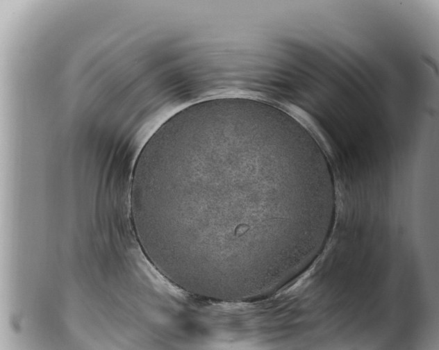 X0000102251244200808011303