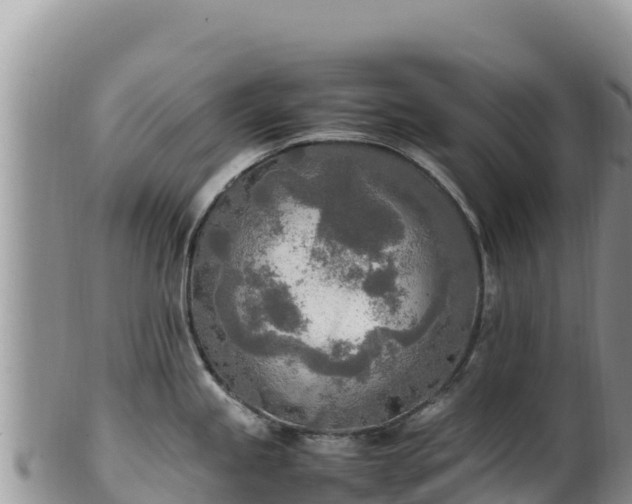 X0000102251245200808011303