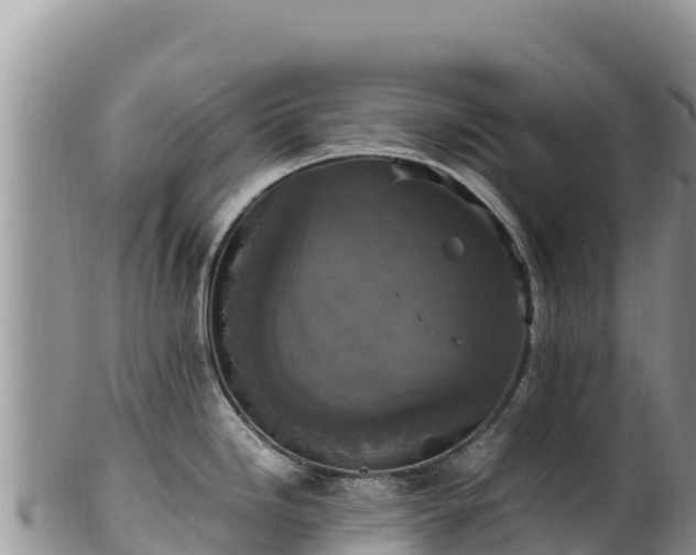 X0000102251246200808011303