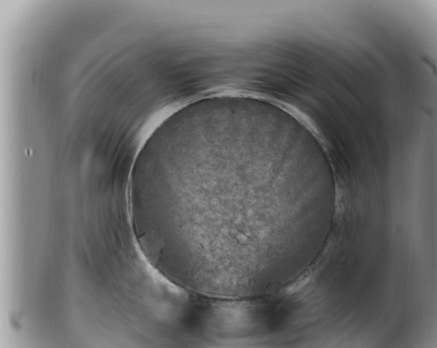 X0000102251247200808011303