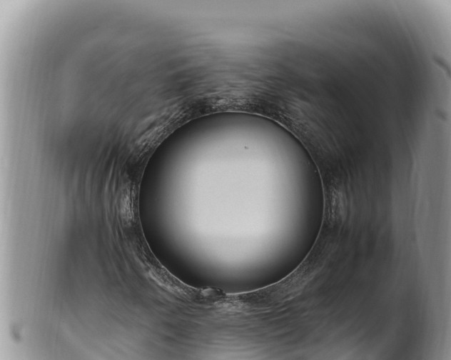 X0000102251250200808011303