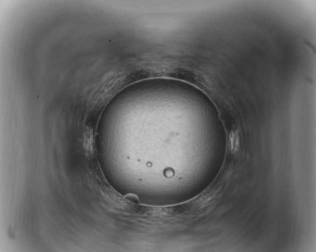 X0000102251251200808011303