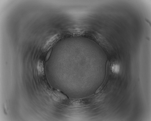 X0000102251252200808011303