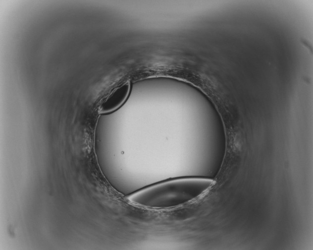 X0000102251253200808011303