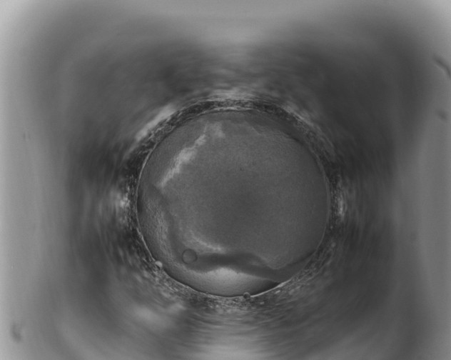 X0000102251254200808011303