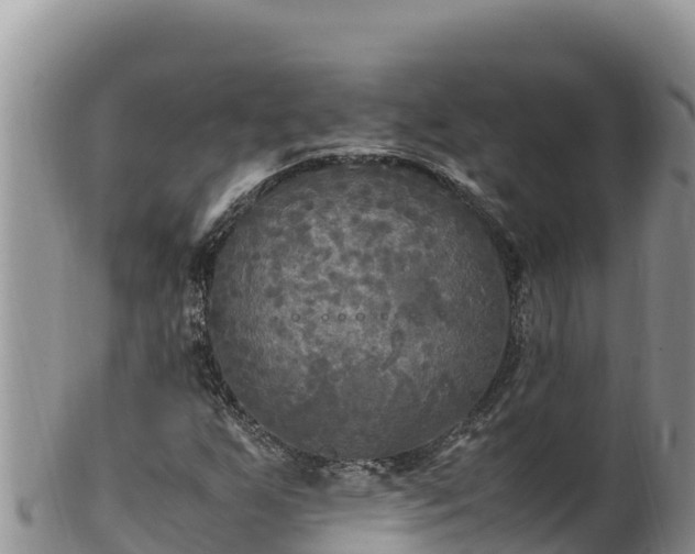 X0000102251255200808011303