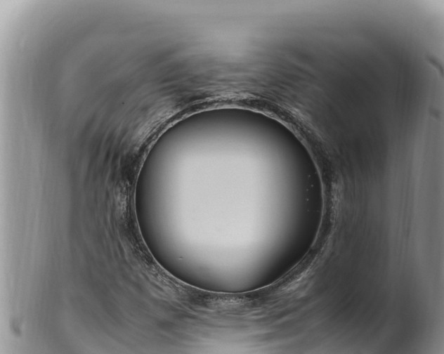 X0000102251257200808011303