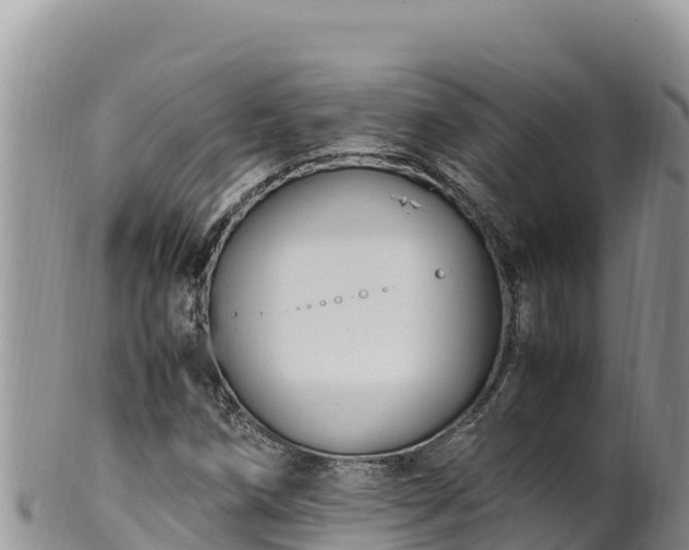 X0000102251258200808011303