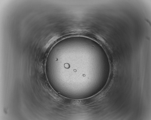 X0000102251259200808011303