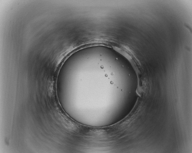 X0000102251260200808011303