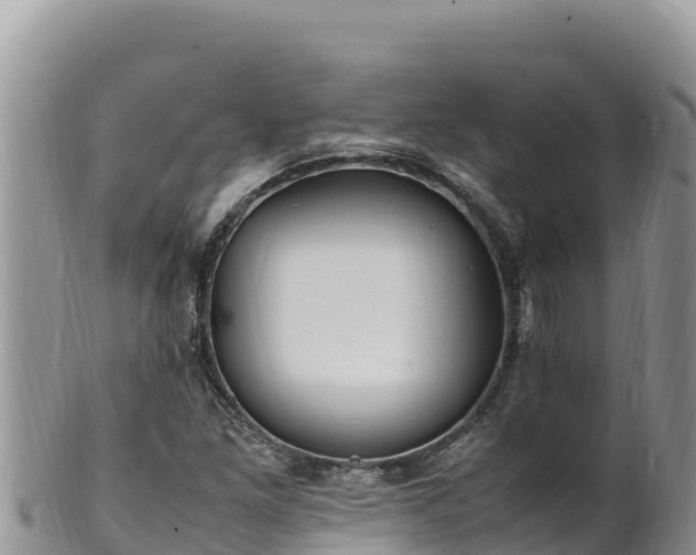 X0000102251261200808011303