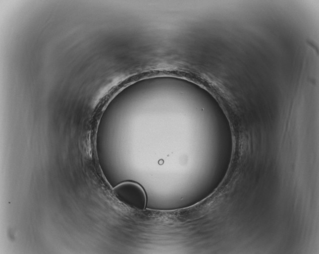 X0000102251262200808011303