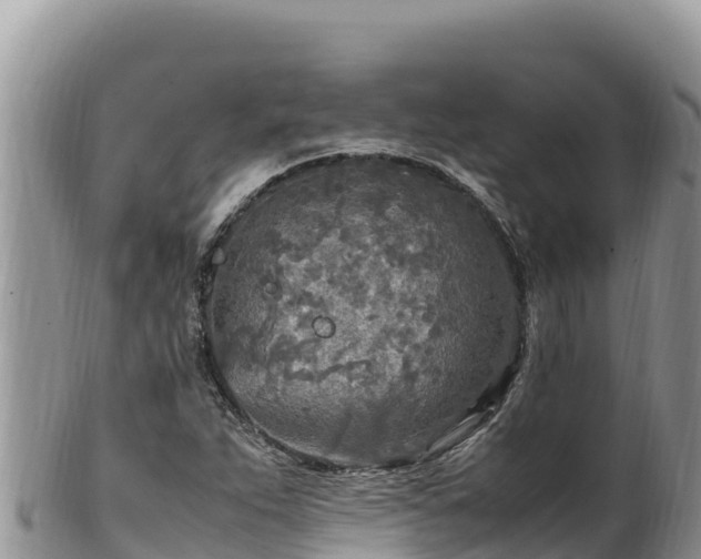 X0000102251263200808011303