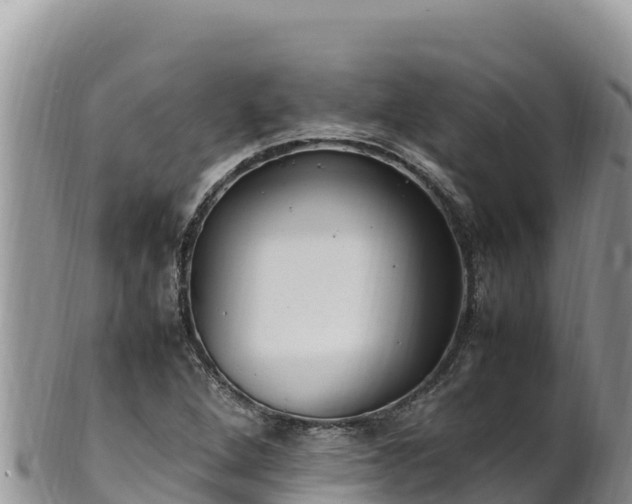 X0000102251264200808011302