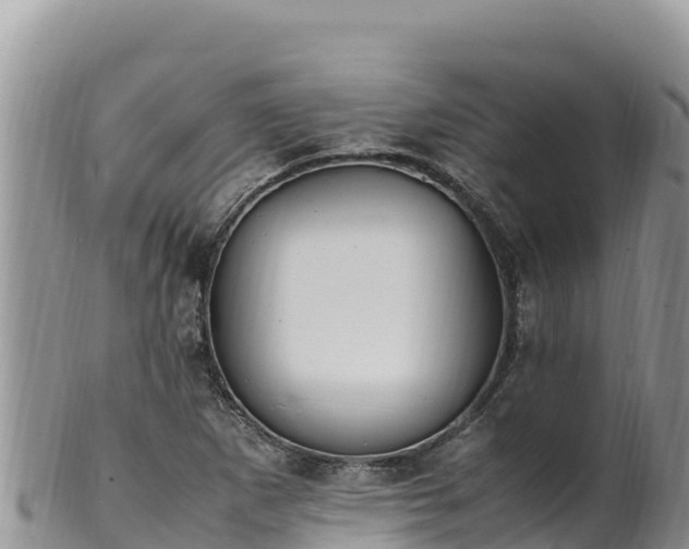 X0000102251265200808011302