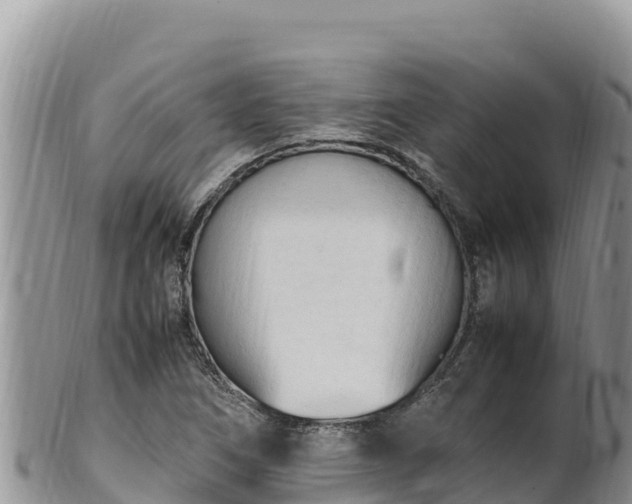 X0000102251266200808011302