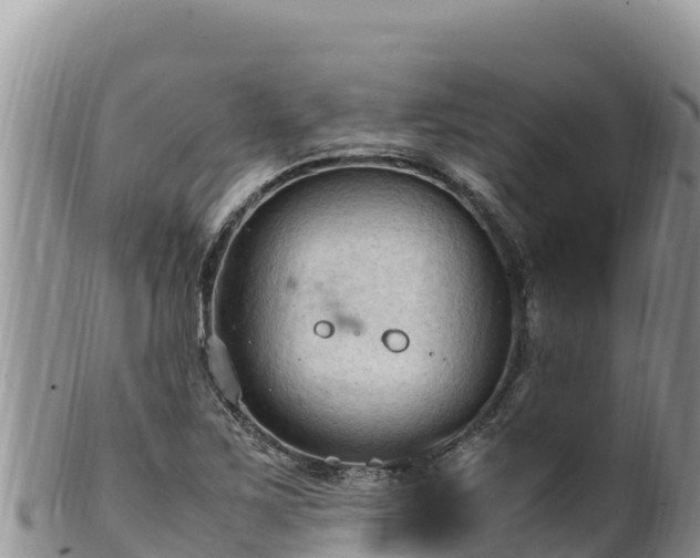 X0000102251267200808011302