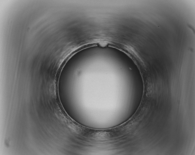 X0000102251268200808011302