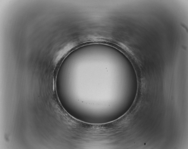 X0000102251269200808011302