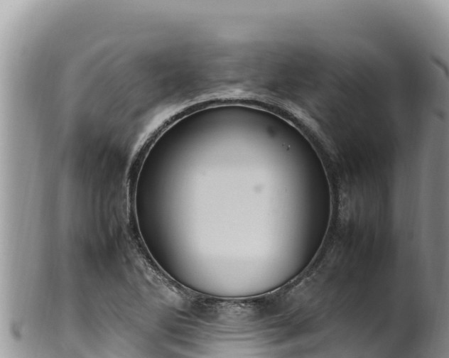 X0000102251270200808011302