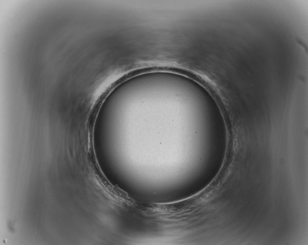 X0000102251271200808011302